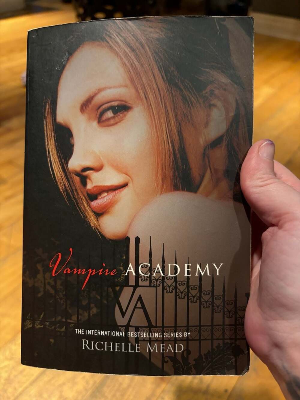 Vampire Academy by Richelle Mead (Book 1, Paperback)